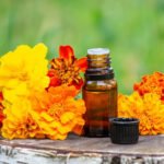 images.jpeg